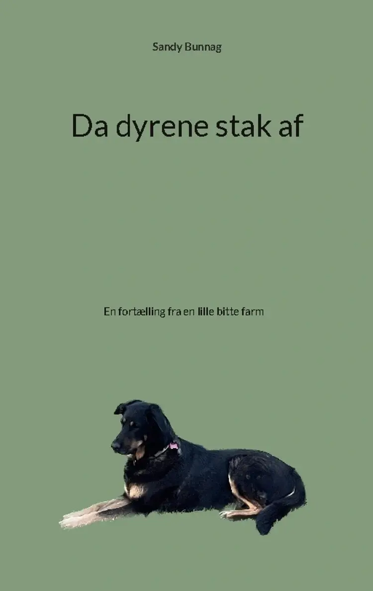 Da dyrene stak af af Sandy Bunnag