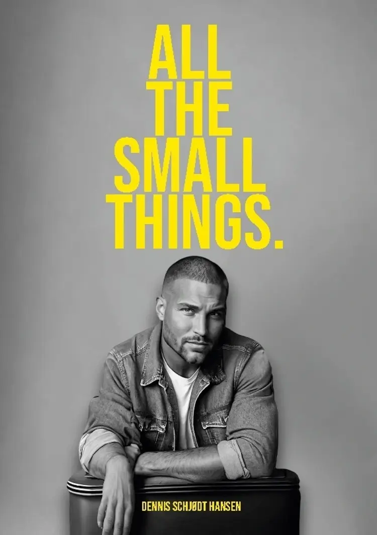 All the Small Things af Dennis Schjødt Hansen