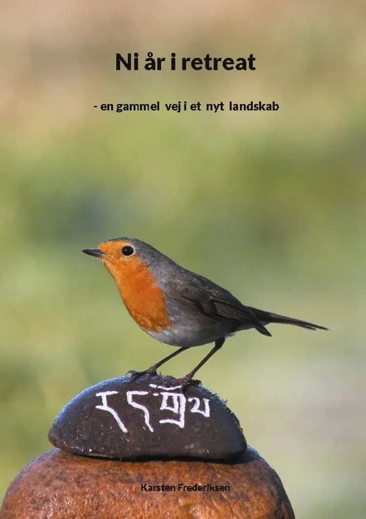 Ni år i retreat af Karsten Frederiksen