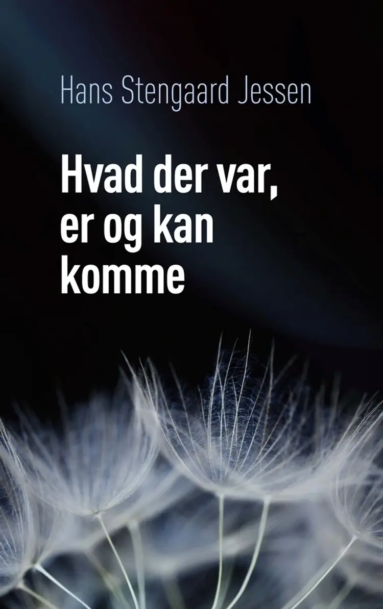 Hvad der var, er og kan komme af Hans Stengaard Jessen