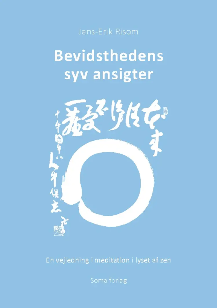 Bevidsthedens syv ansigter af Jens-Erik Risom Petersen