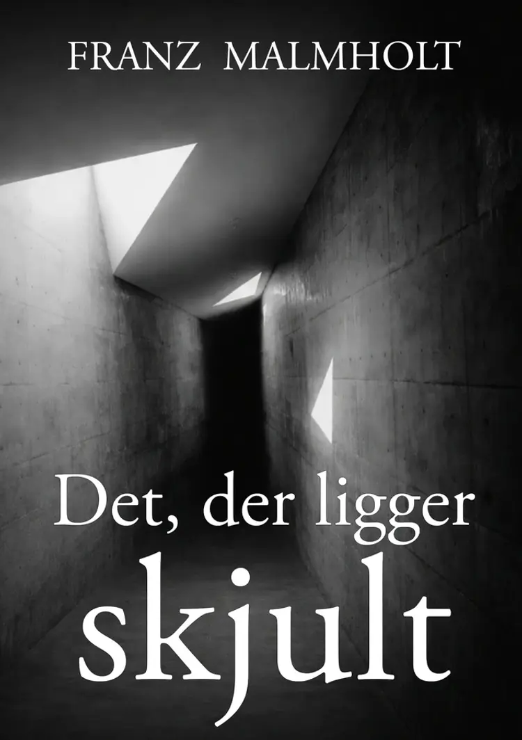 Det der ligger skjult af Franz Malmholt