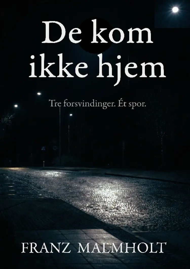 De kom aldrig hjem af Franz Malmholt