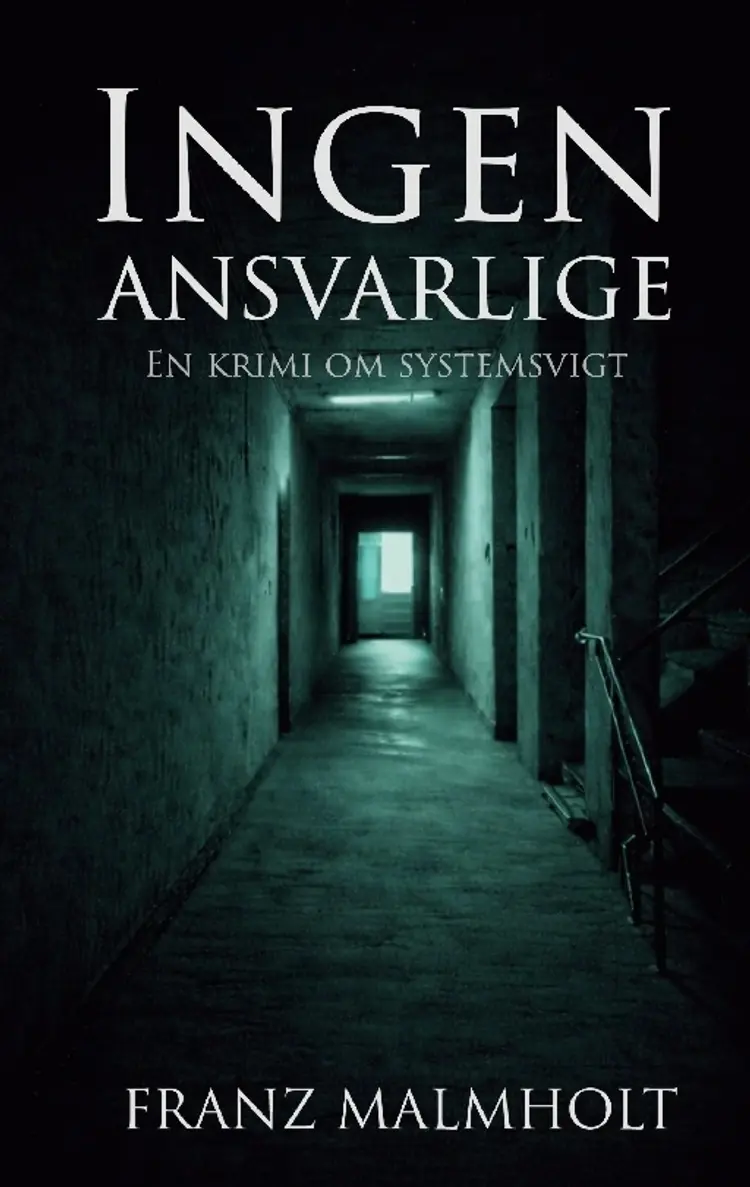 Ingen ansvarlige af Franz Malmhokt