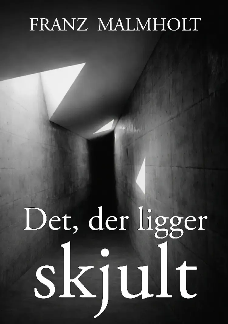 Det der ligger skjult af Franz Malmholt