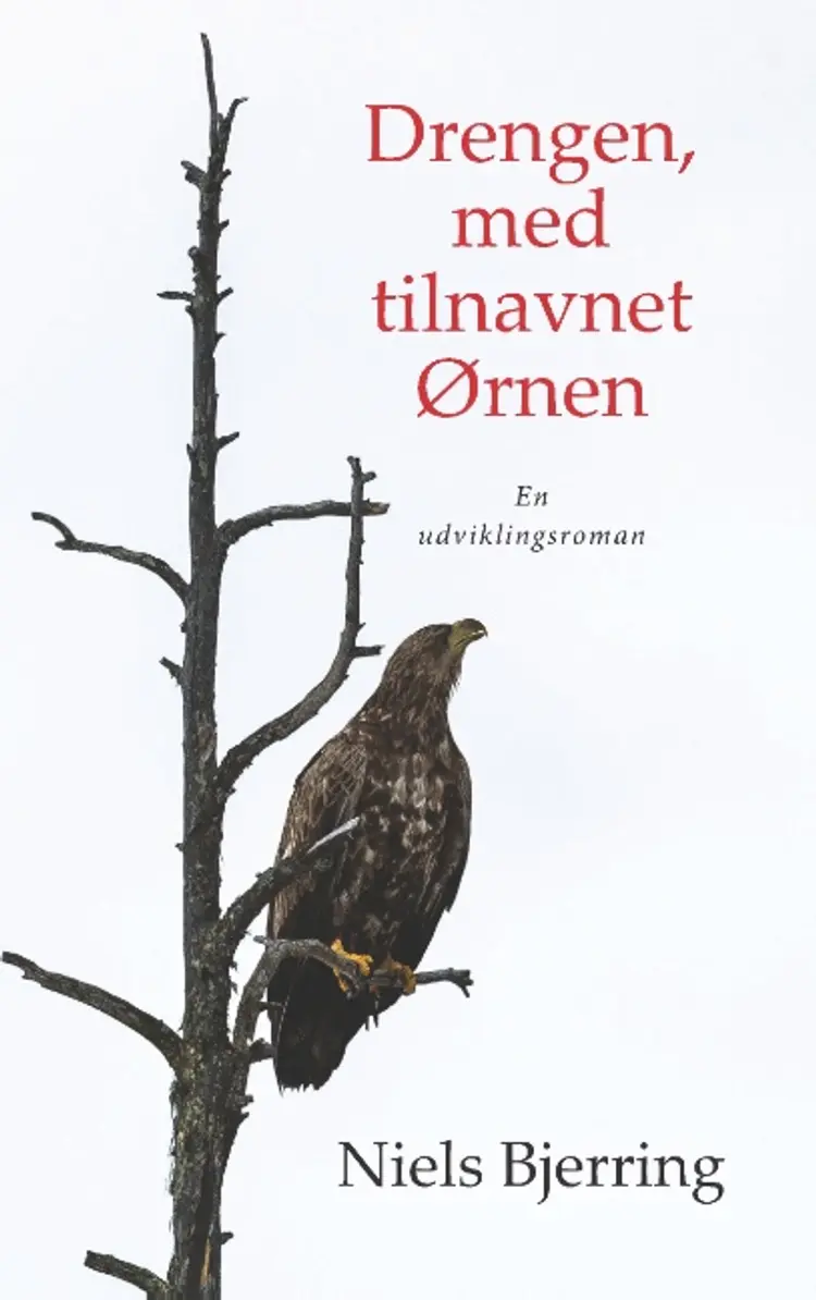 Drengen, med tilnavnet Ørnen af Niels Bjerring