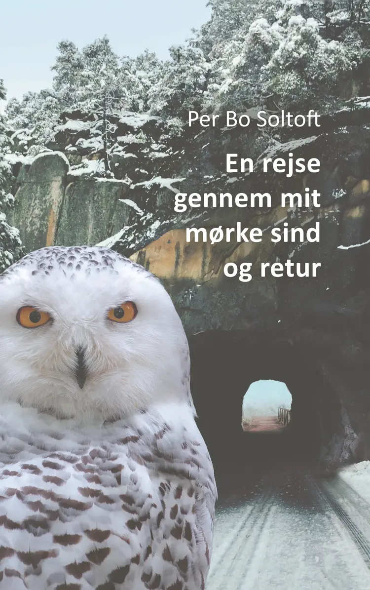 En rejse gennem mit mørke sind og retur af Per Bo Soltoft
