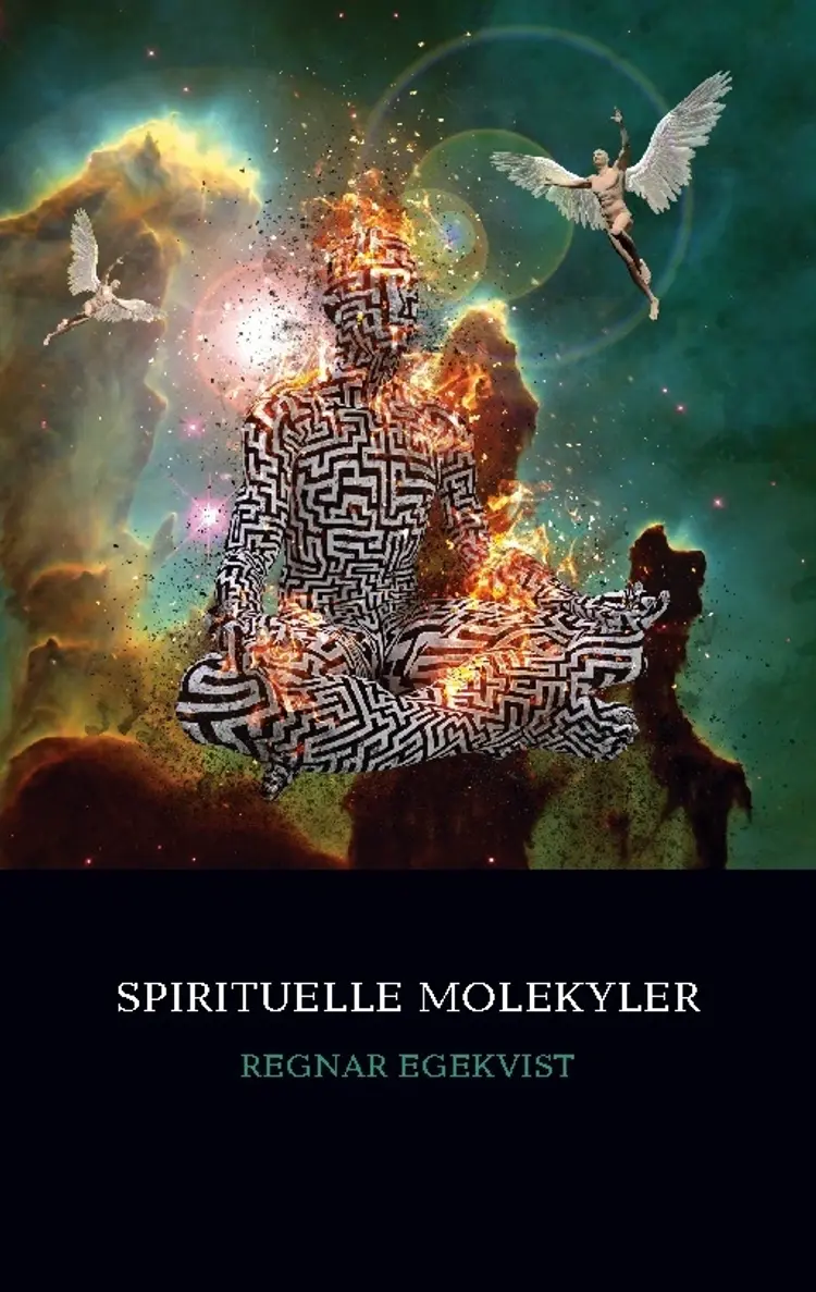 Spirituelle Molekyler af Regnar Egekvist