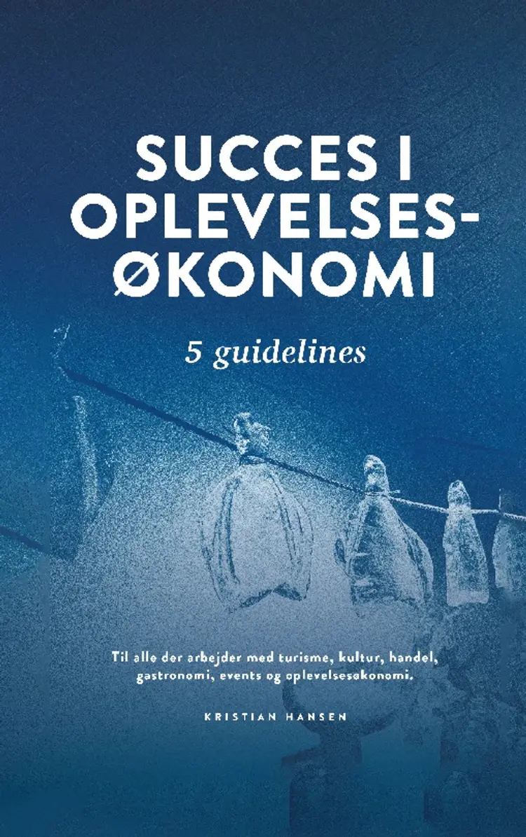 Succes i oplevelsesøkonomi af Kristian Hansen