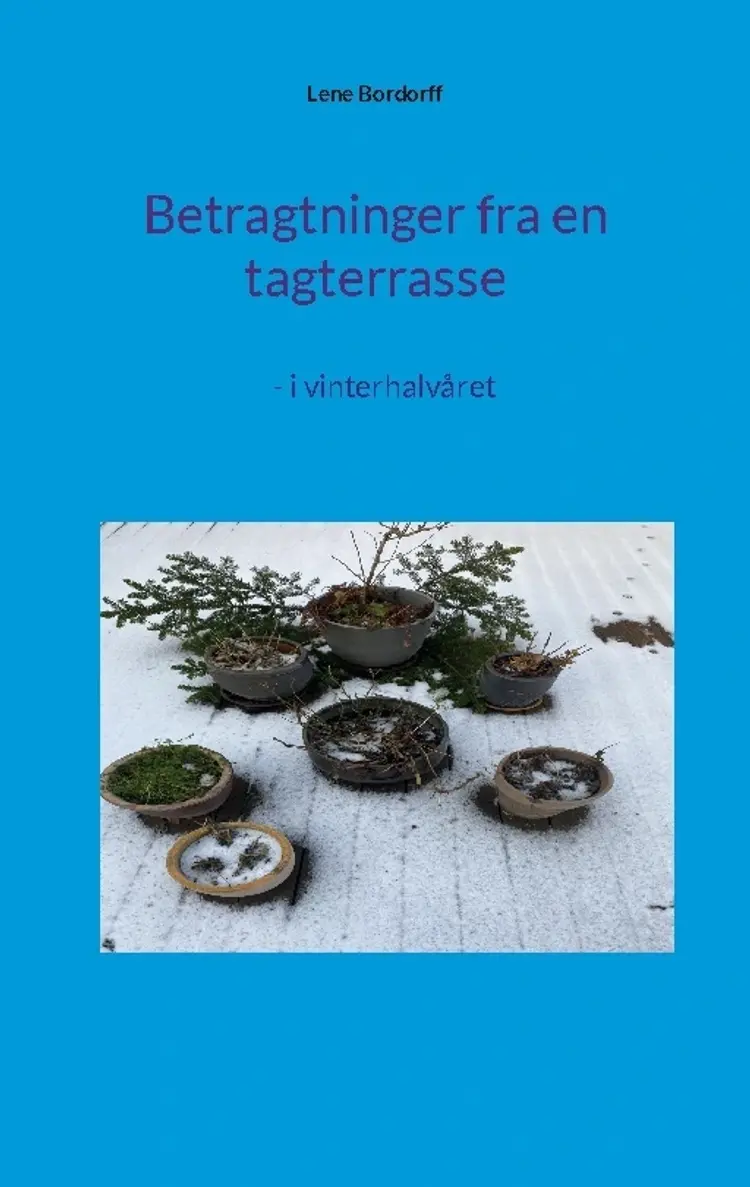 Betragtninger fra en tagterrasse af Lene Bordorff