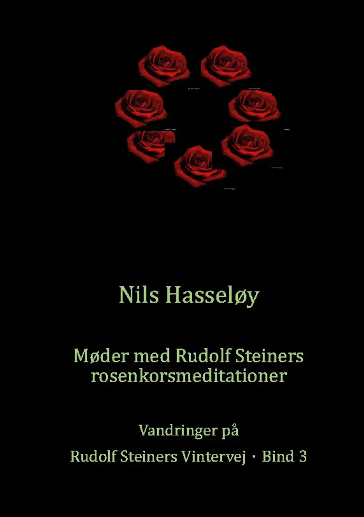 Møder med Rudolf Steiners rosenkorsmeditationer af Nils Hasseløy