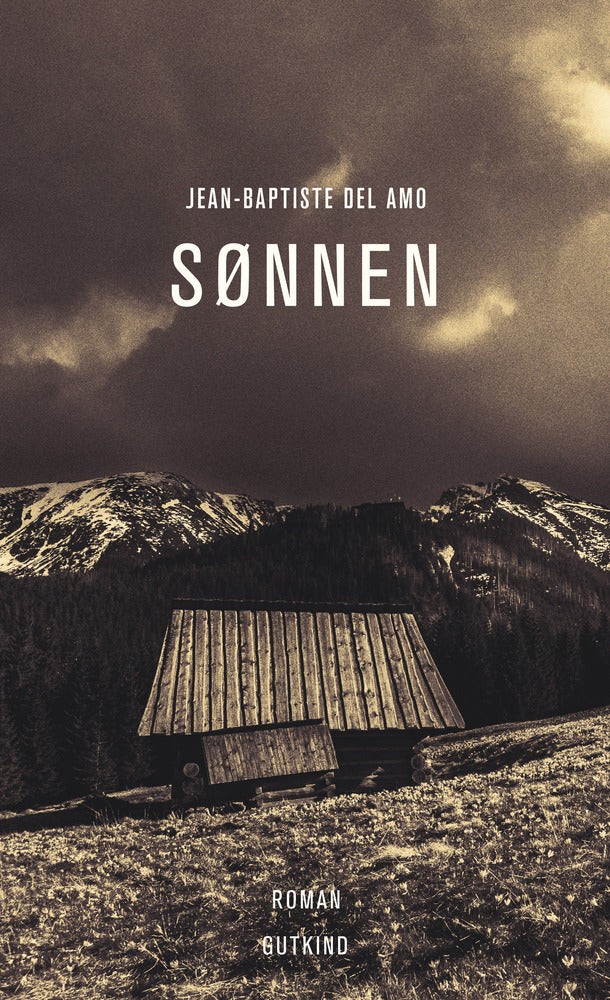 Sønnen cover