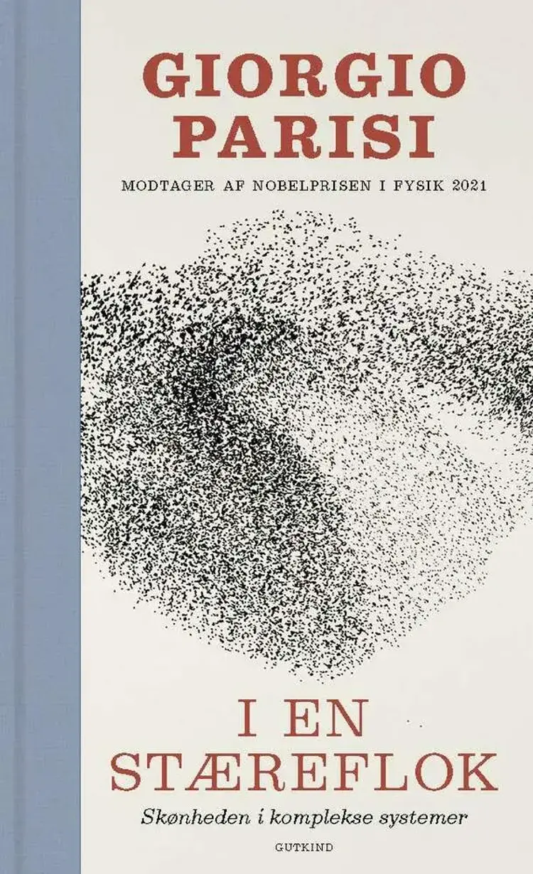 I en stæreflok af Giorgio Parisi
