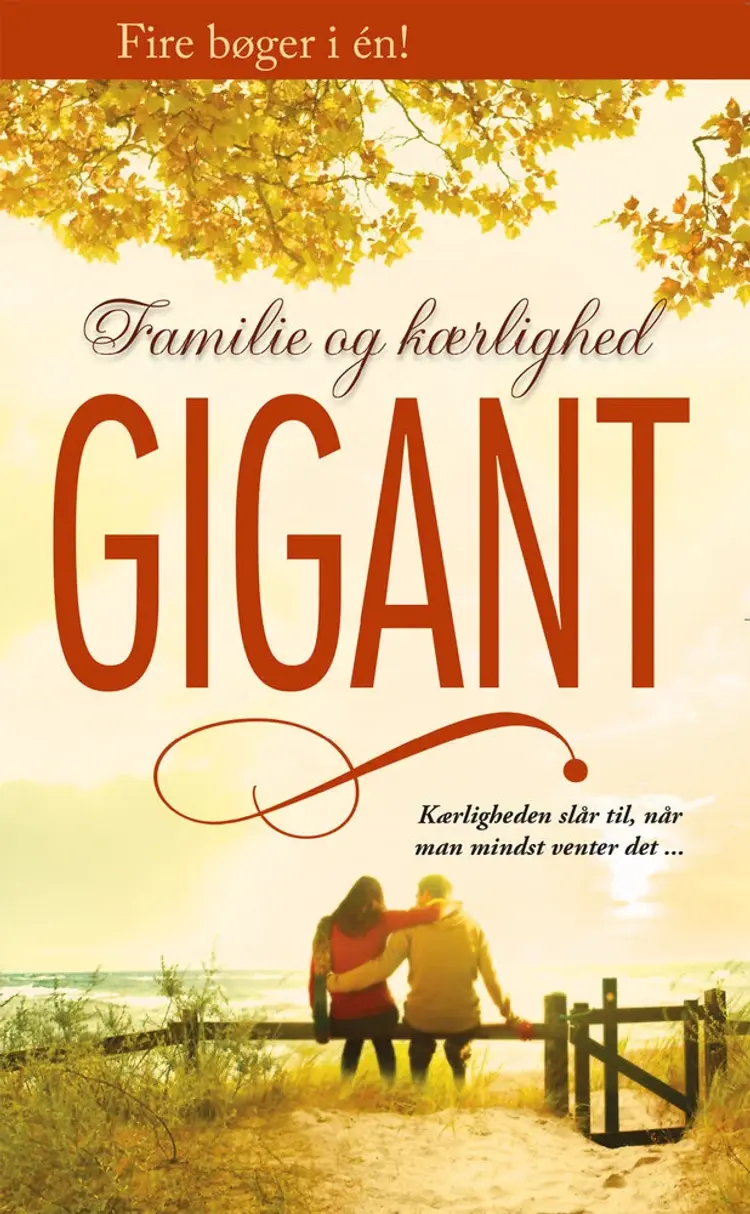 At genvinde sin brud
/ På forbudt område / Skjulte følelser / Kærlighedens magi af Margaret Mayo