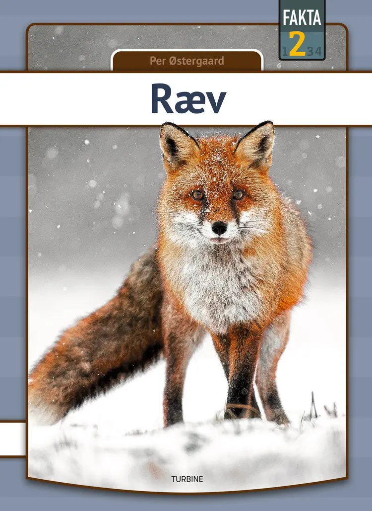 Ræv af Per Østergaard