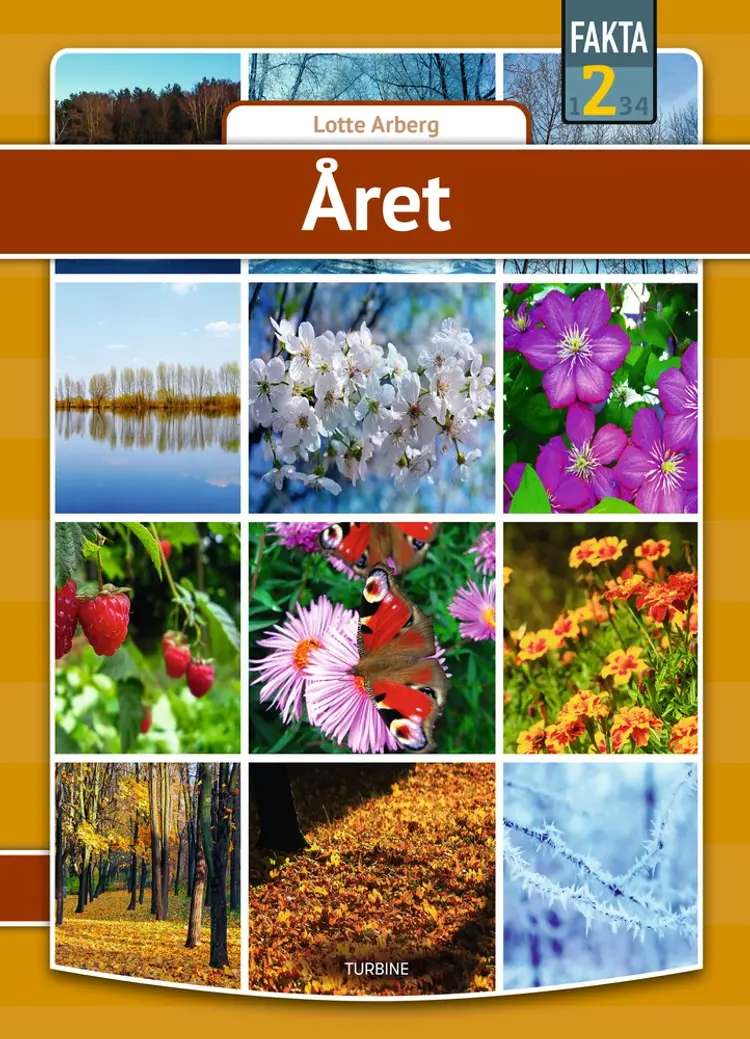 Året af Lotte Arberg