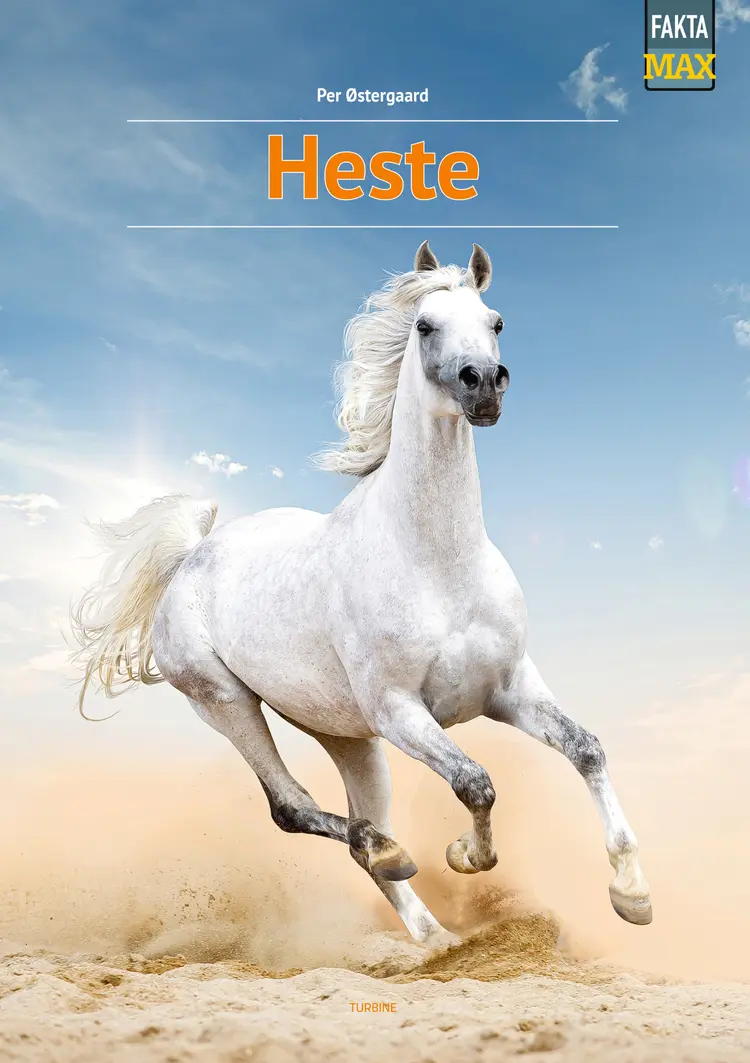 Heste af Per Østergaard