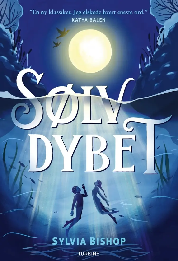 Sølvdybet af Sylvia Bishop