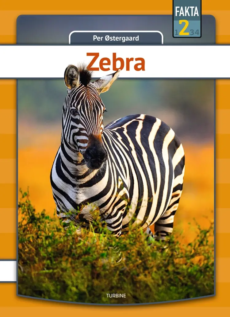 Zebra af Per Østergaard