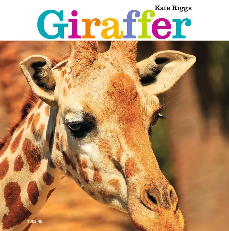 Giraffer af Kate Riggs
