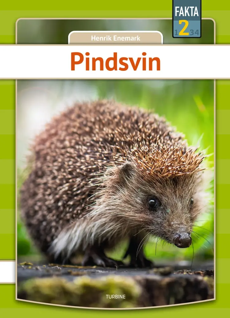 Pindsvin af Henrik Enemark