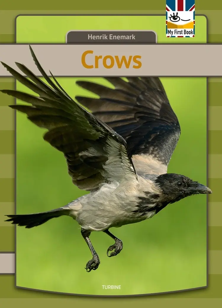 Crows af Henrik Enemark