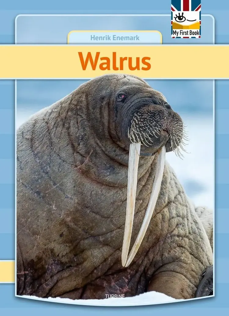Walrus af Henrik Enemark