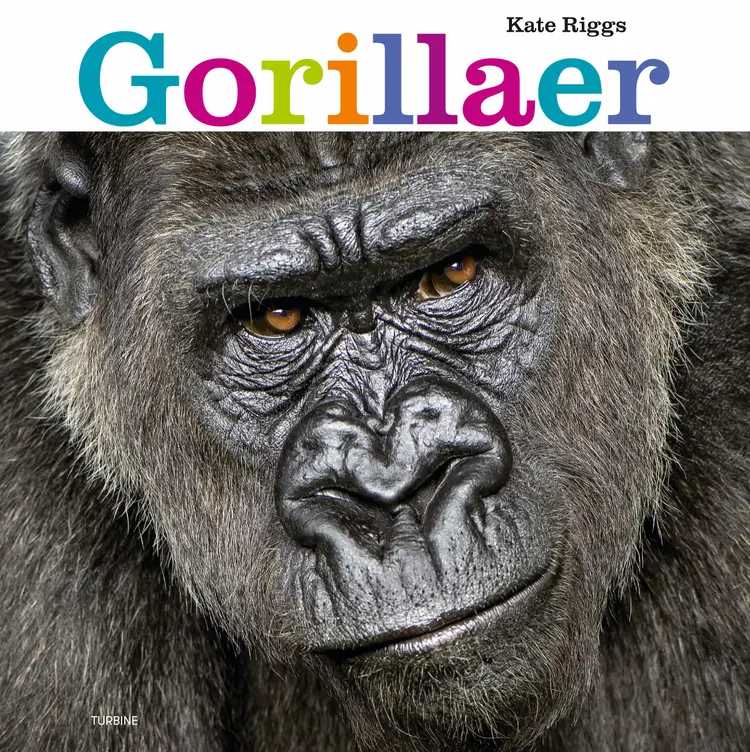Gorillaer af Kate Riggs
