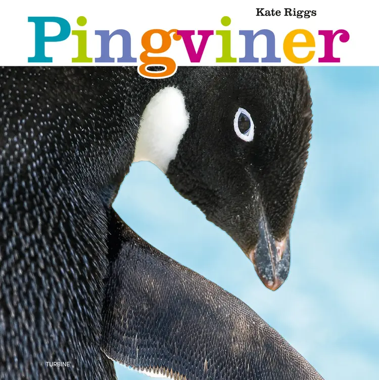 Pingviner af Kate Riggs