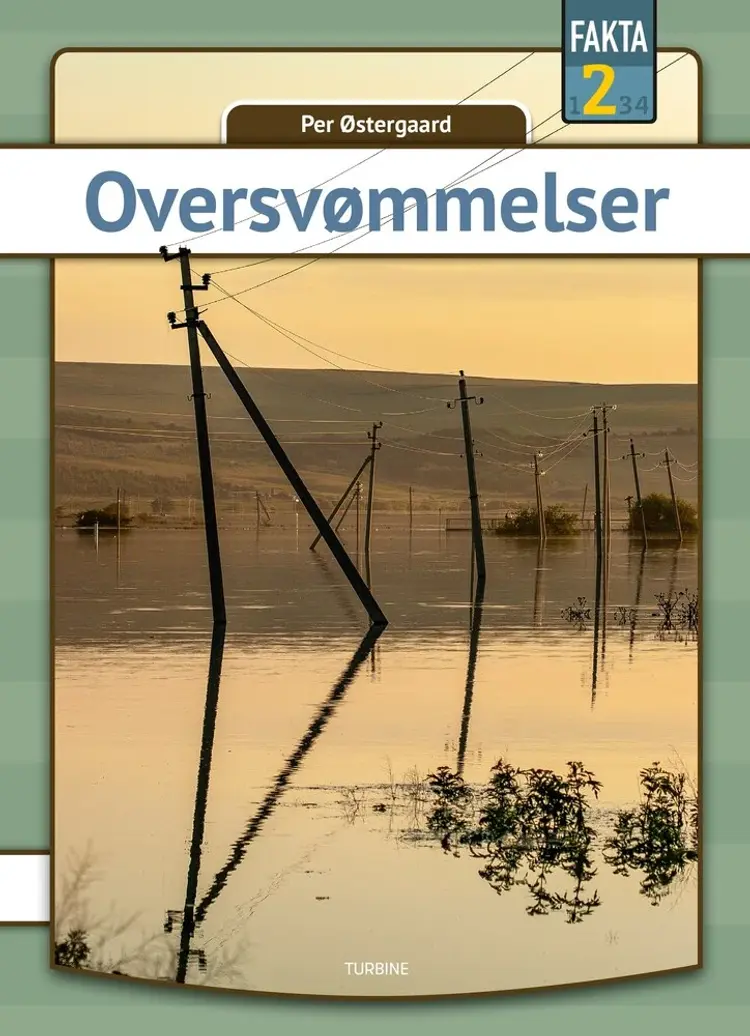 Oversvømmelser af Per Østergaard