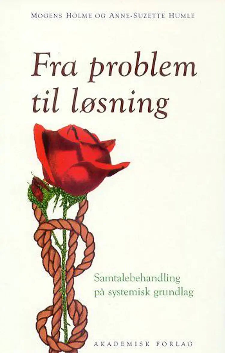 Fra problem til løsning af Mogens Holme