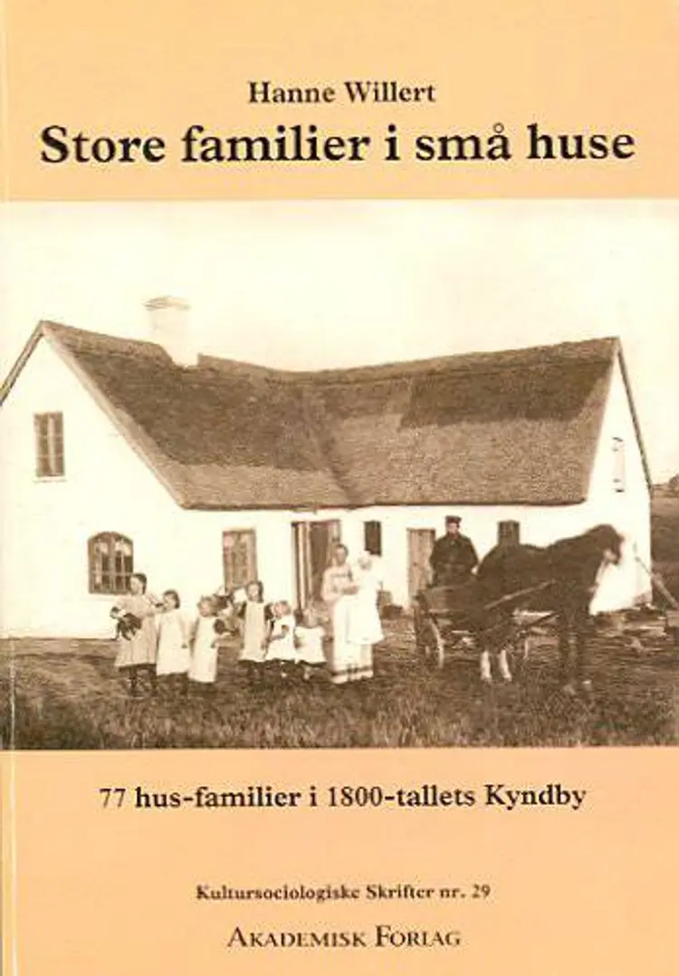 Store familier i små huse af Hanne Willert