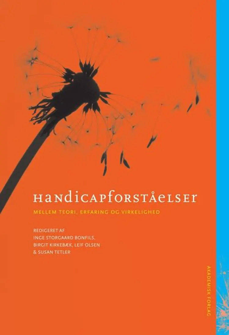 Handicapforståelser mellem teori, erfaring og virkelighed af Birgit Kirkebæk