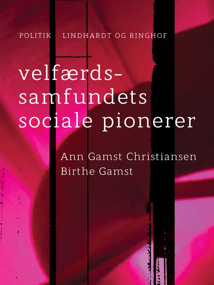 Velfærdssamfundets sociale pionerer af Birthe Gamst