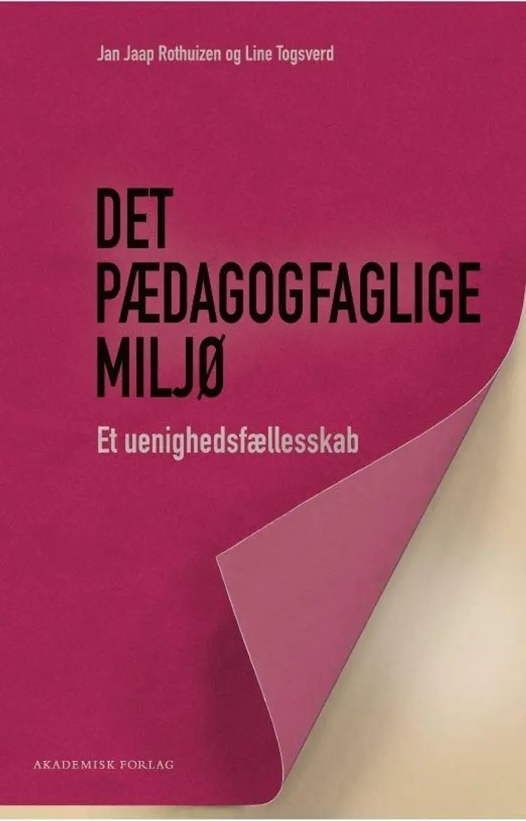 Det pædagogfaglige miljø af Line Togsverd