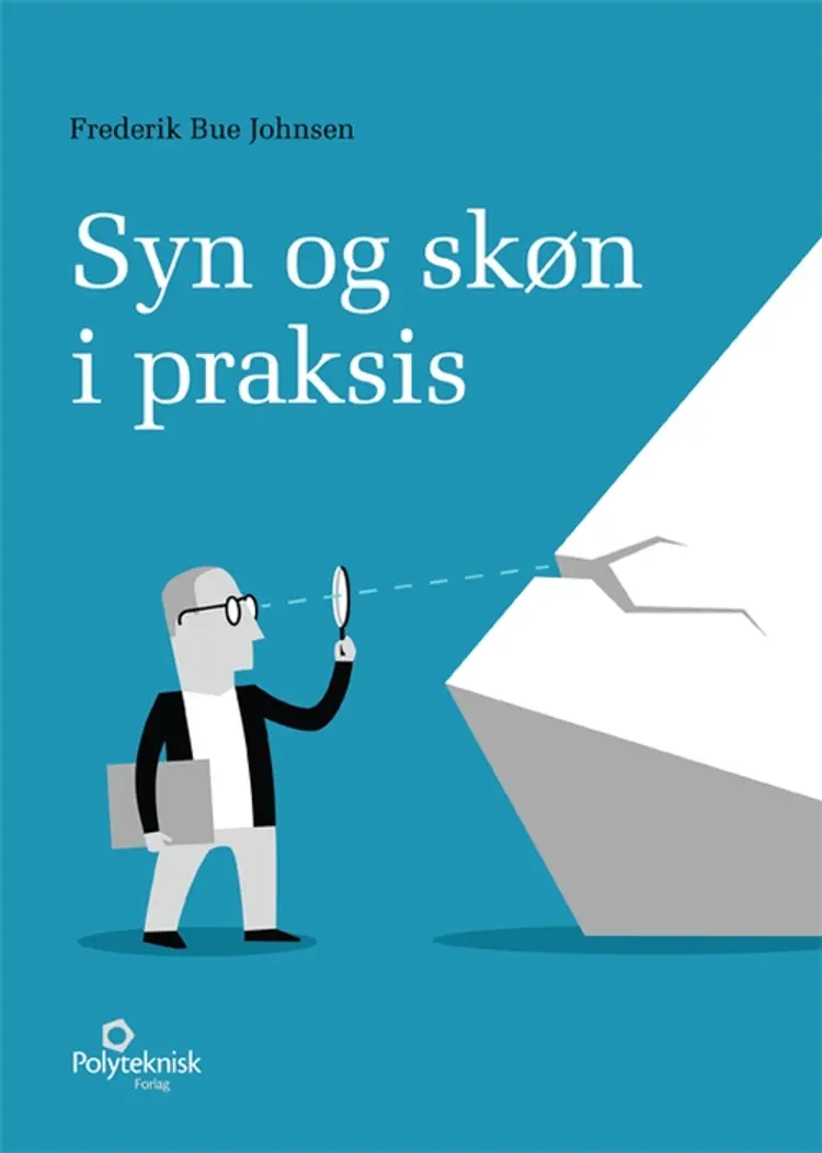 Syn og skøn i praksis af Frederik Bue Johnsen