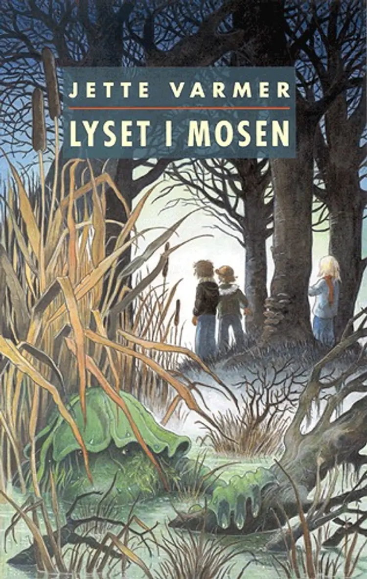 Lyset i mosen af Jette Varmer