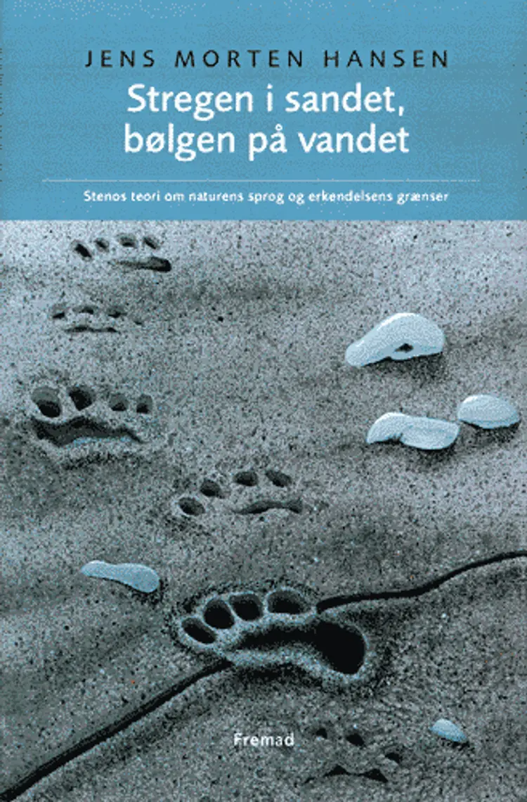 Stregen i sandet, bølgen på vandet af Jens Morten Hansen