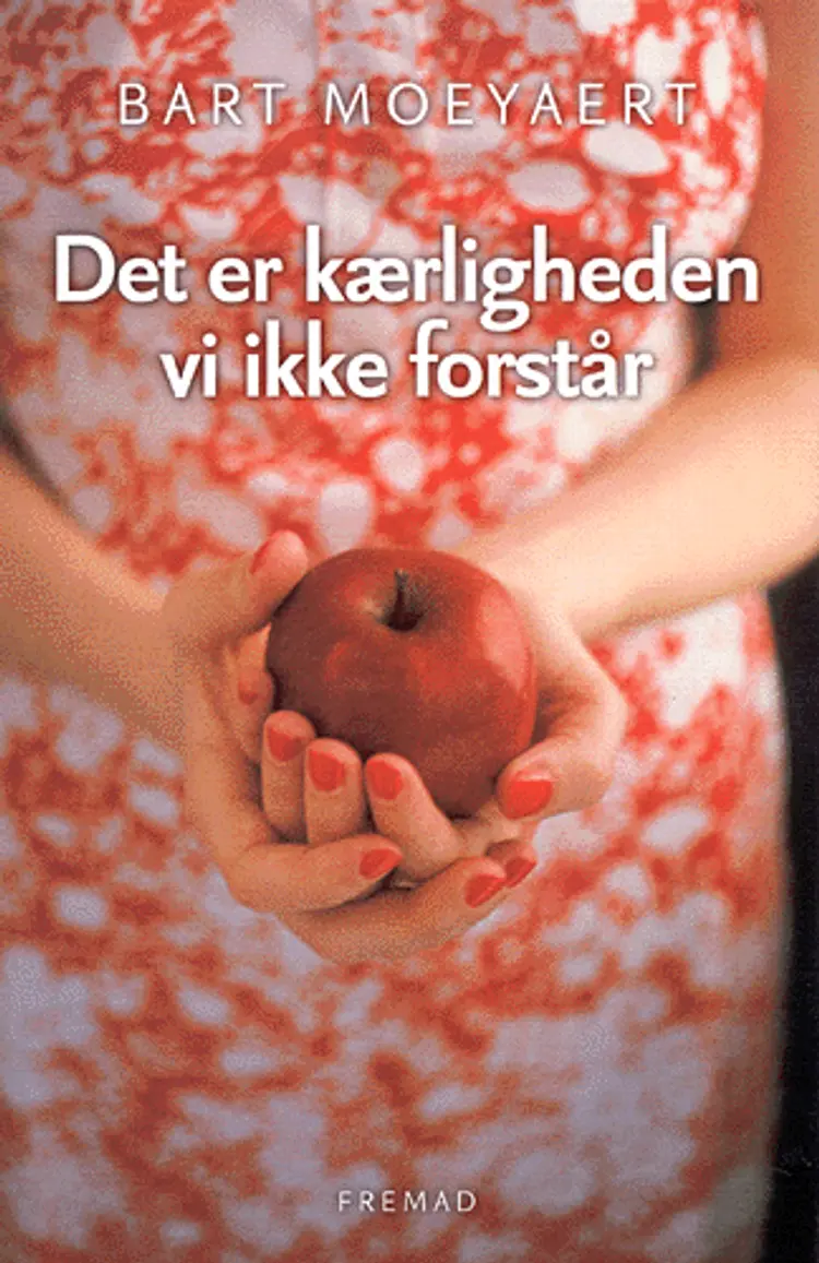 Det er kærligheden vi ikke forstår af Bart Moeyaert