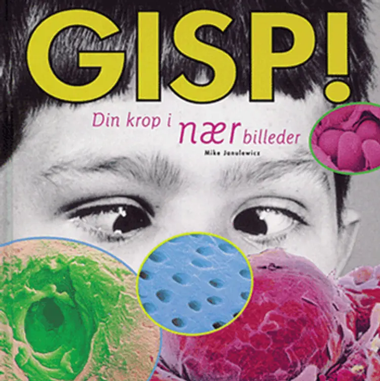 Gisp! af Mike Janulewicz