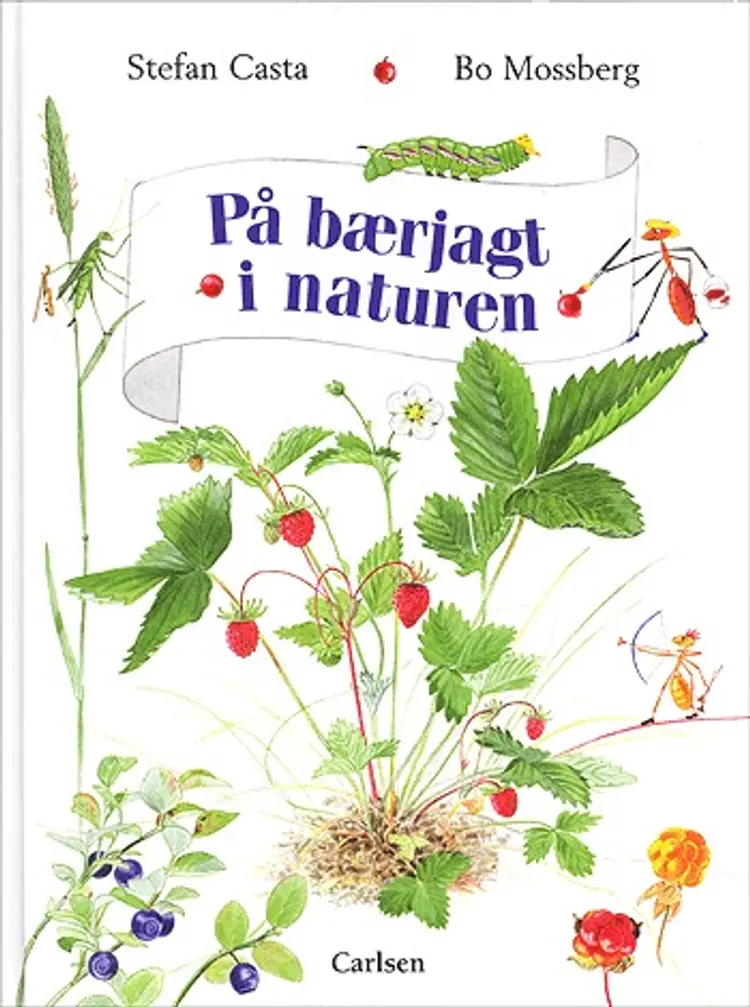 På bærjagt i naturen af Stefan Casta