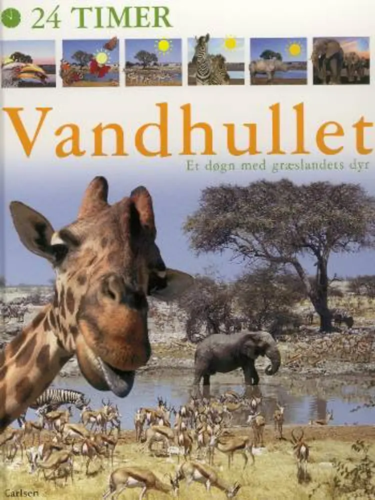 Vandhullet af Zahavit Shalev
