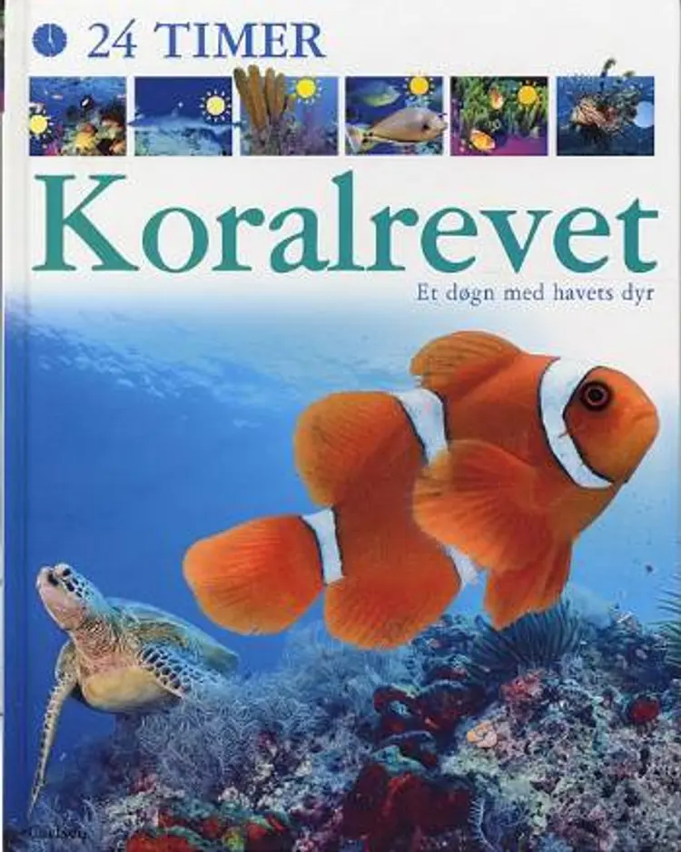 24 timer Koralrevet af Caroline Bingham