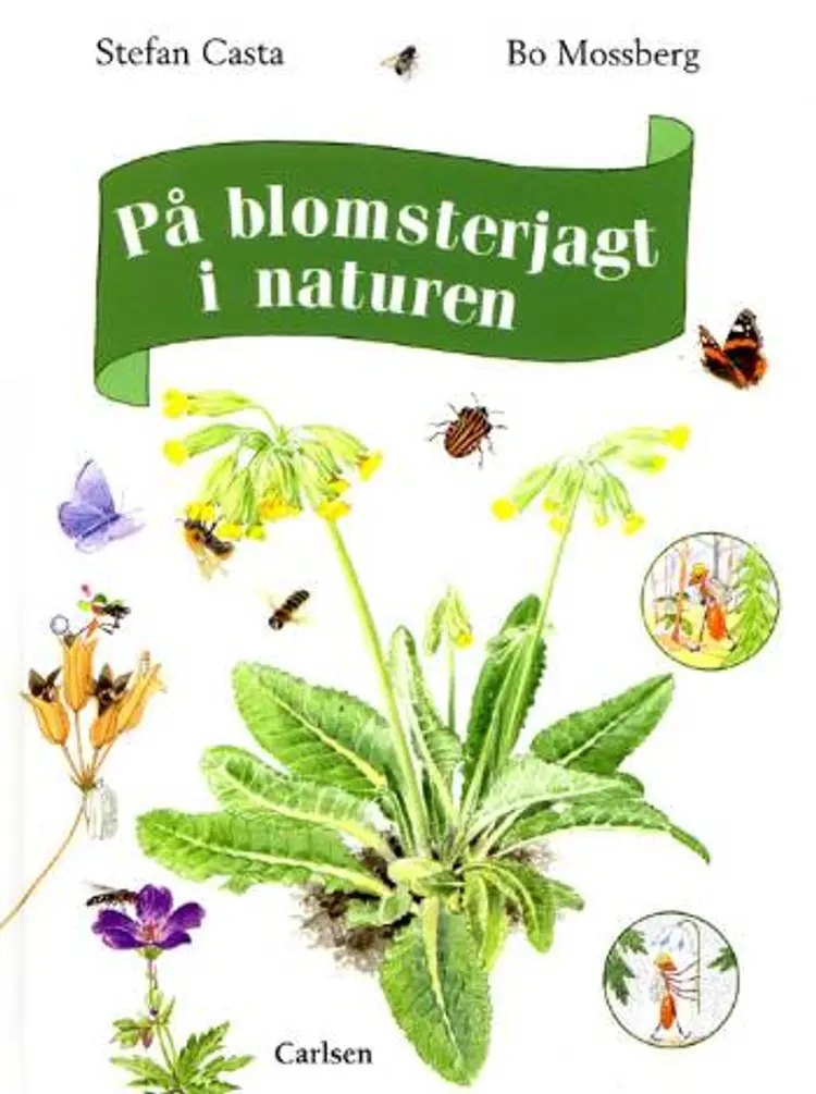 På blomsterjagt i naturen af Stefan Casta