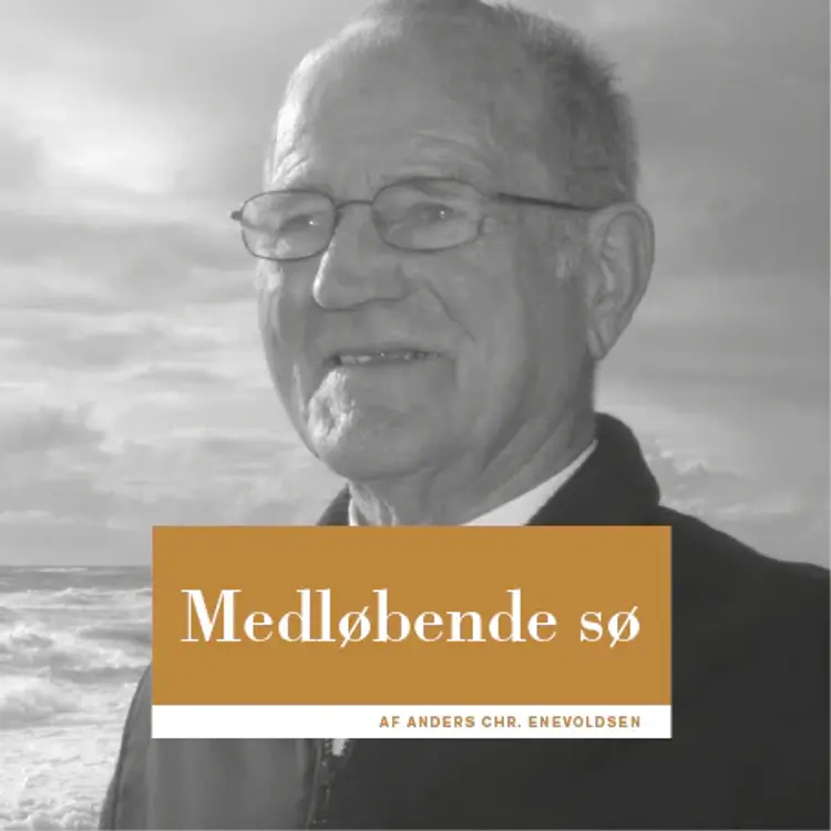 Medløbende sø af Anders Christian Enevoldsen