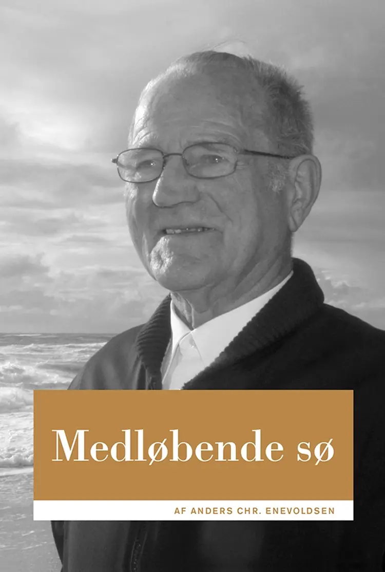 Medløbende sø af Anders Chr. Enevoldsen