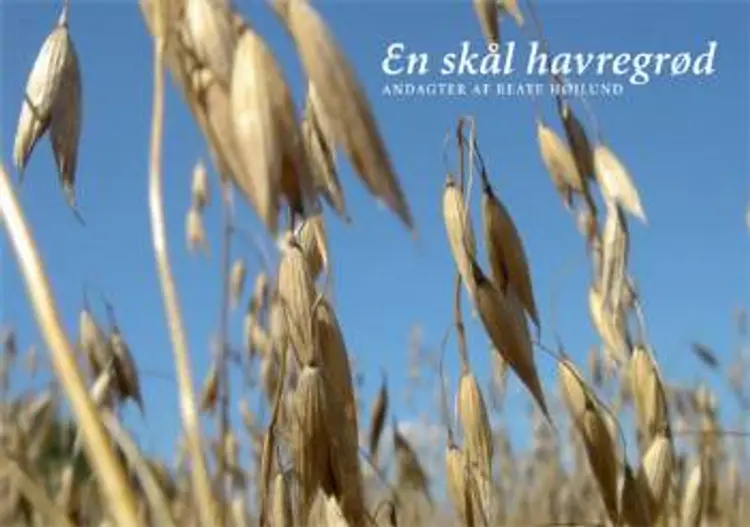 En skål havregrød af Beate Højlund
