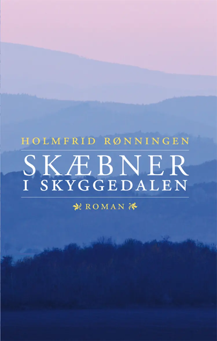 Skæbner i skyggedalen af Holmfrid Rønningen