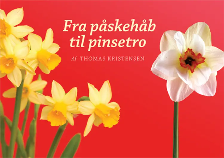 Fra påskehåb til pinsetro af Thomas Kristensen