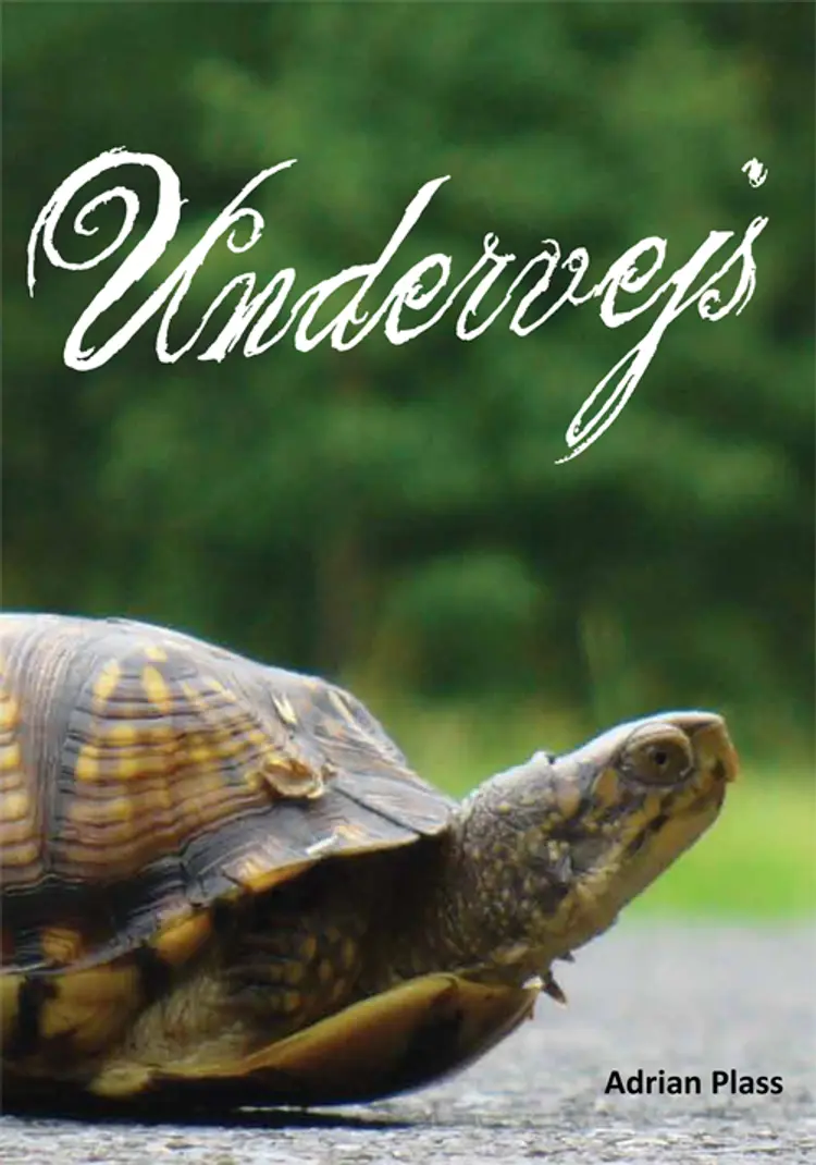 Undervejs af Adrian Plass